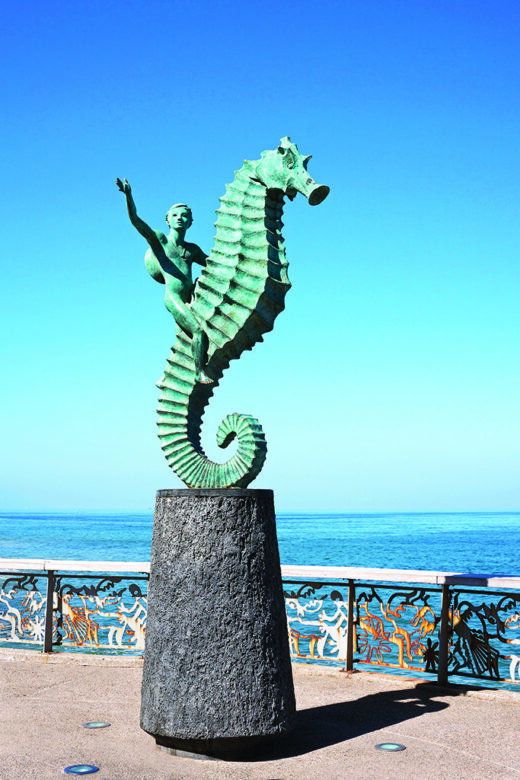 Puerto Vallarta โCaballitoโ