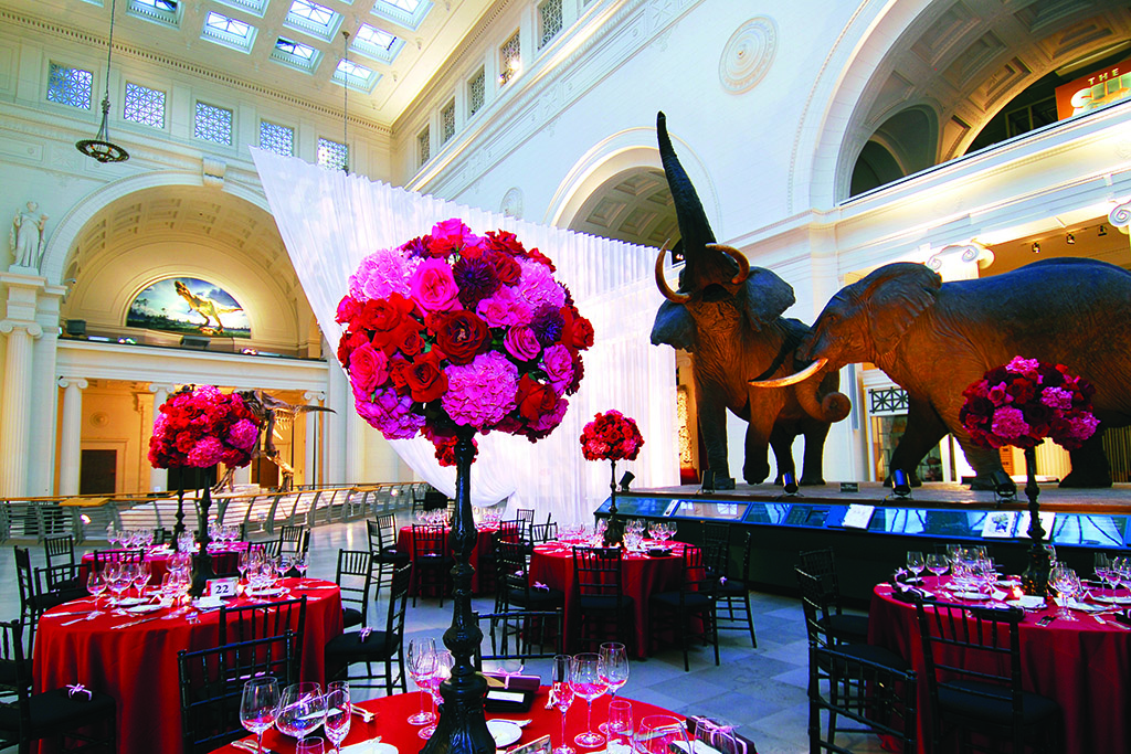 Field Museum, Chicagp
