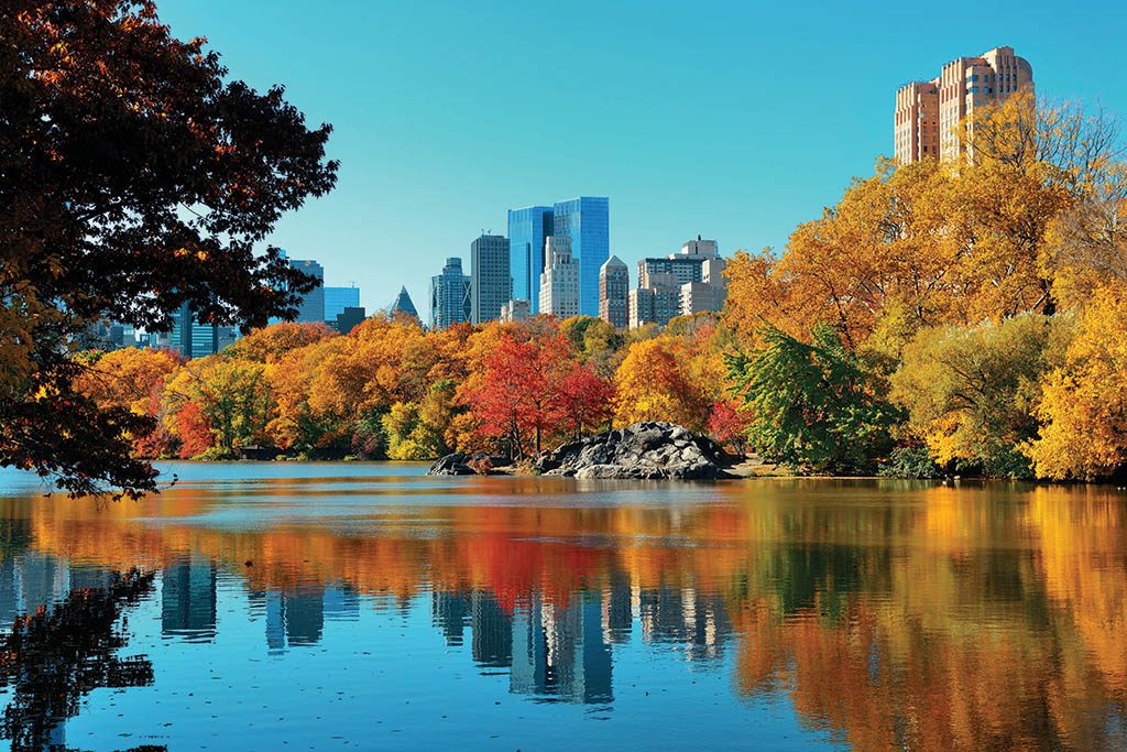 Central Park in Autumn