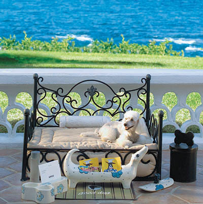 One&Only Palmilla