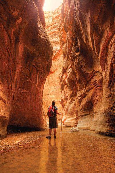 The Narrows, Zion Canyon National Park, Utah by Evantravels