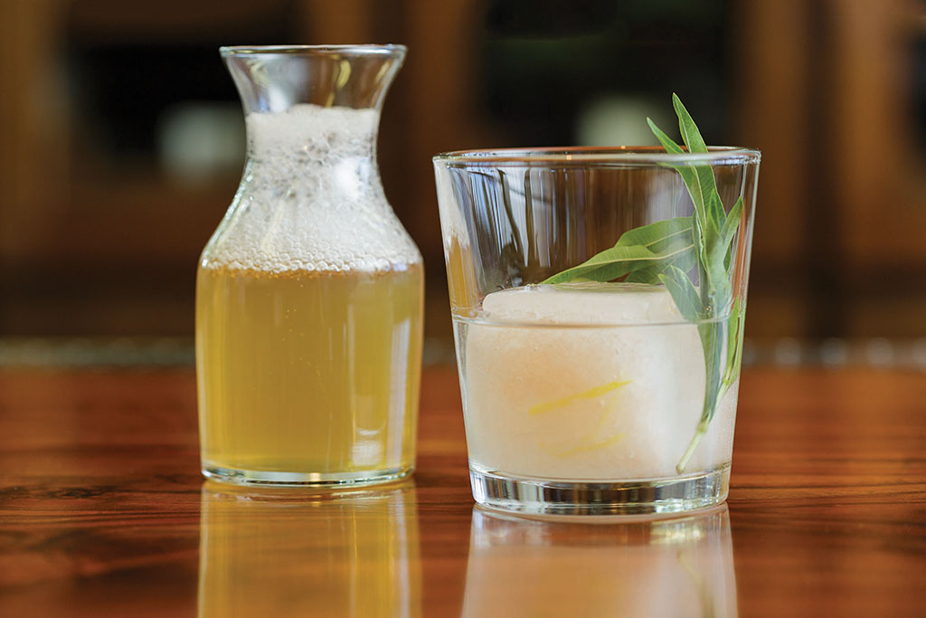 PRESS. Gin and Tonic
