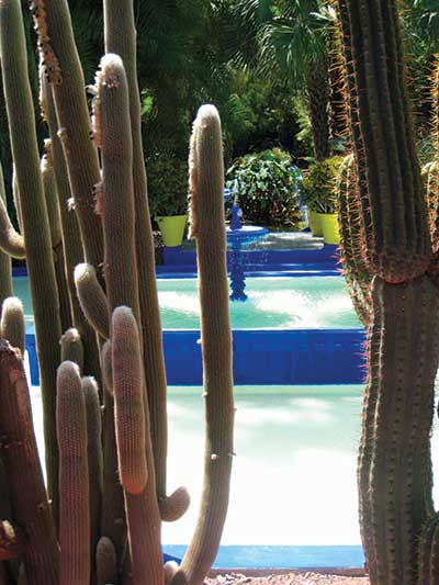Yves St. Laurent's Majorelle Gardens