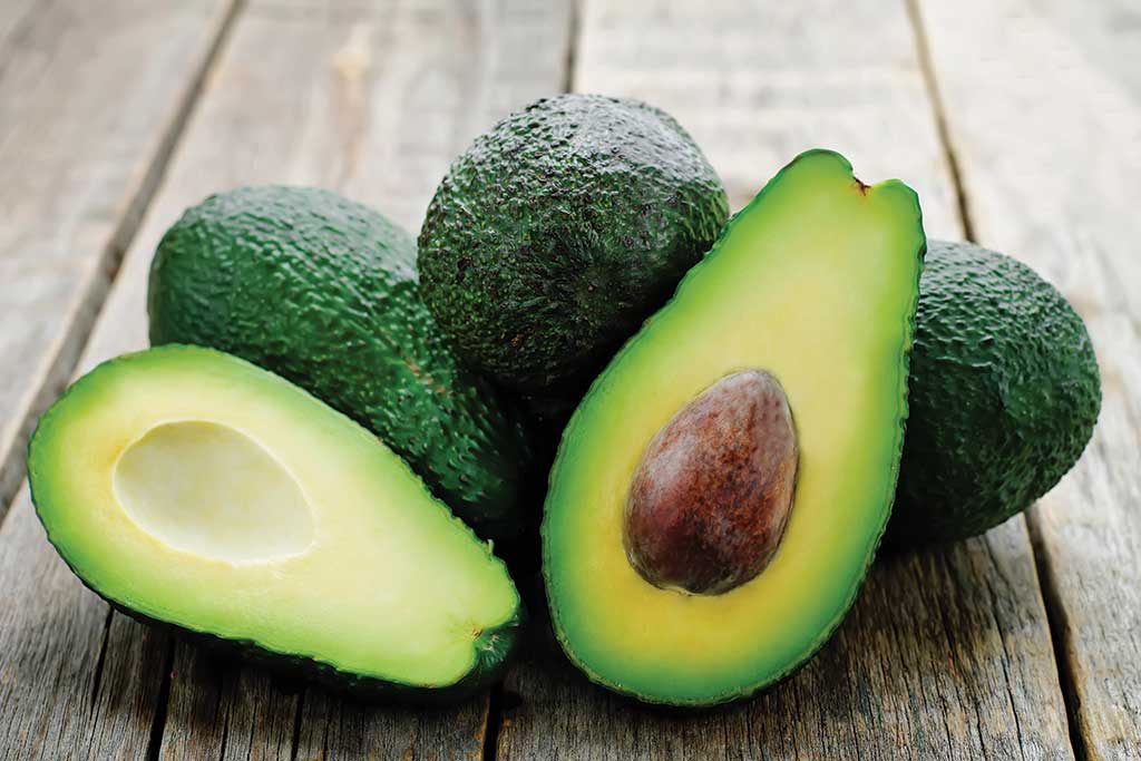 Avocado
