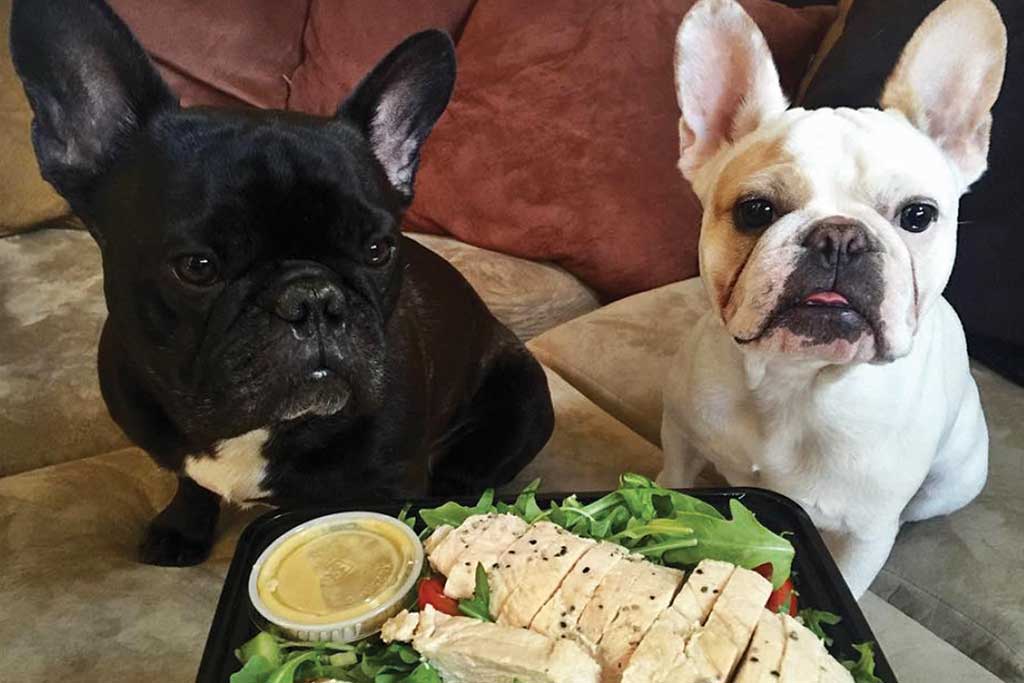 MealPrepology Clientsโ Dogs