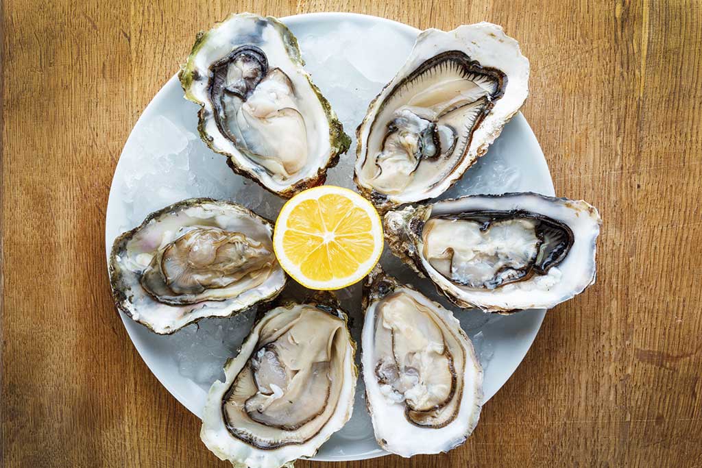 Oysters