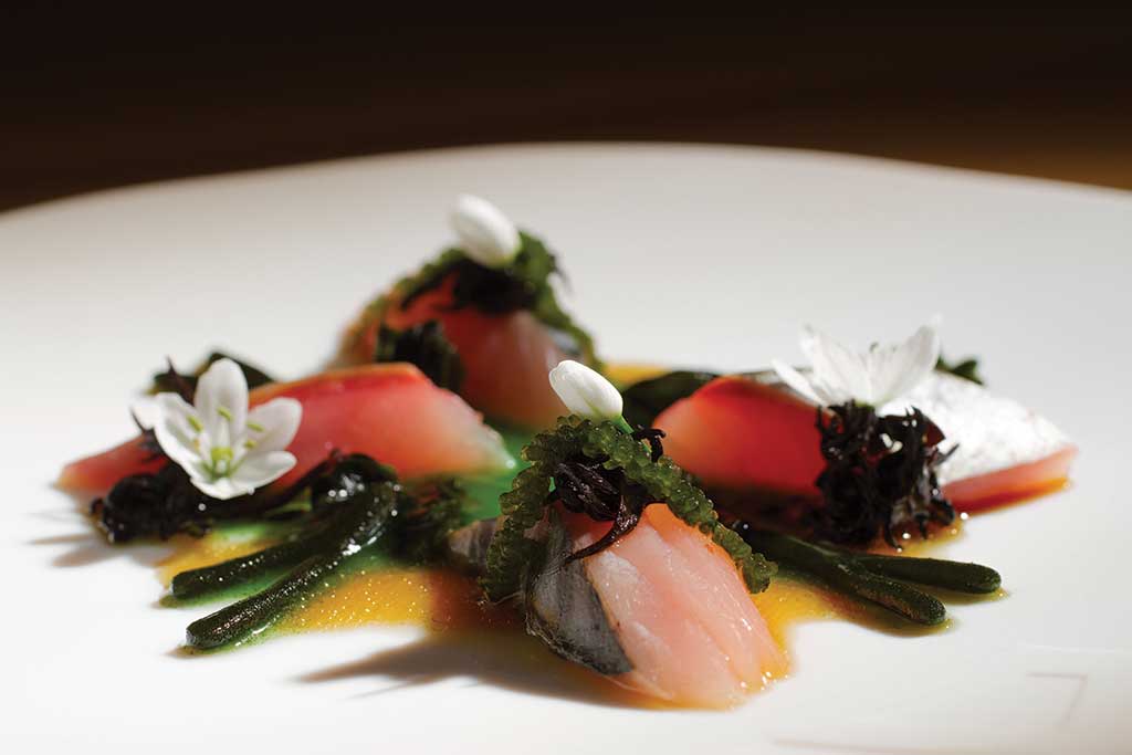 Pakta Mackerel with Codium at El Barri Adria COURTESY El Barri Adria