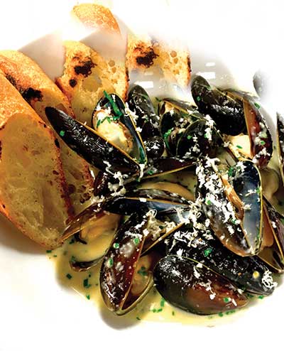 Congress Squared Mussels