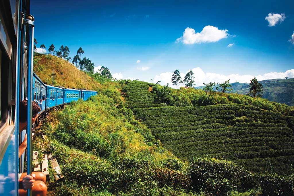 Train from Nuwara Eliya to Kandy among Tea Plantations