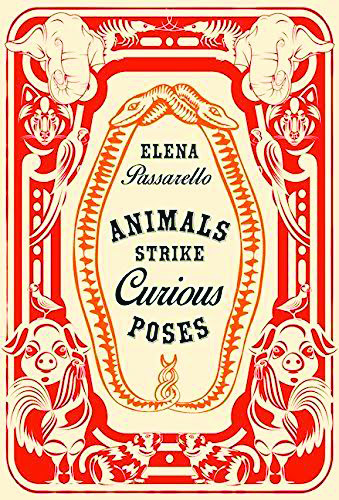 Animals Strike Curious Poses
