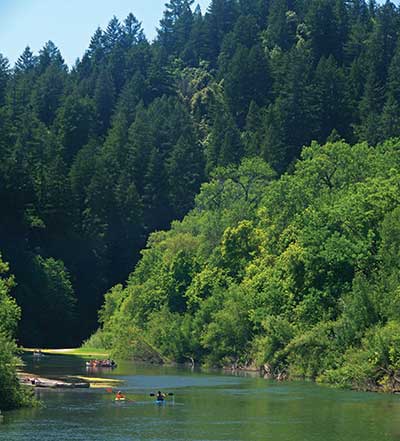 The Russian River