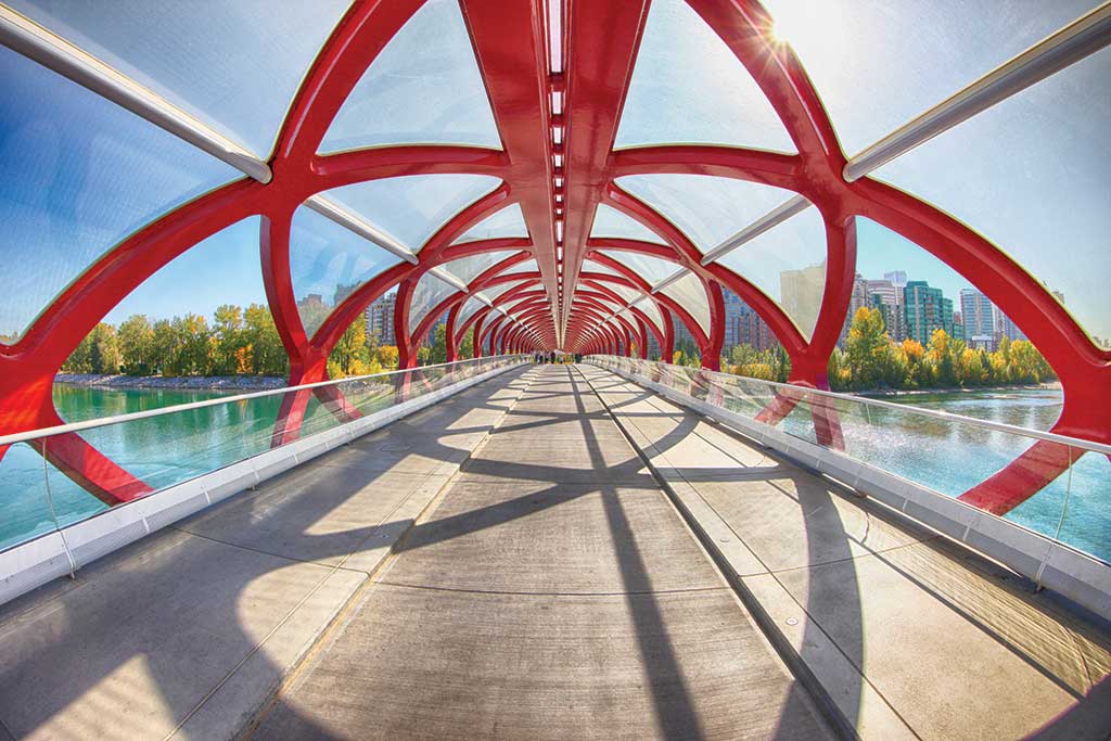 Peace Bridge in Calgary