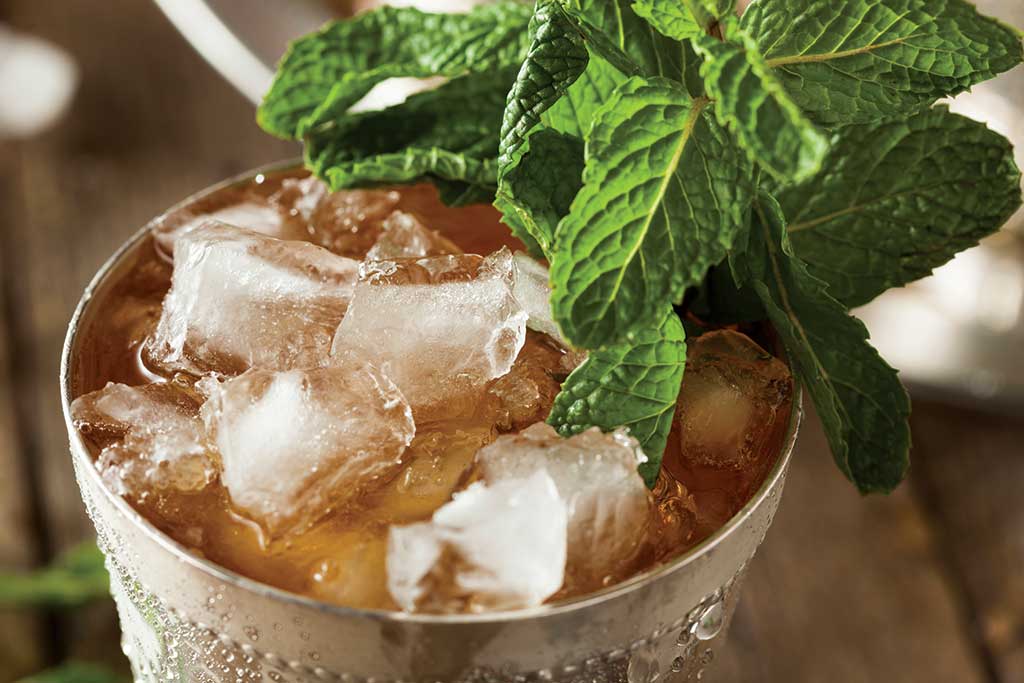 Mint Julep