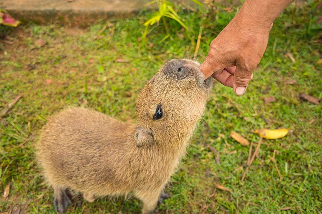 It’s not a bottle, but try telling him that