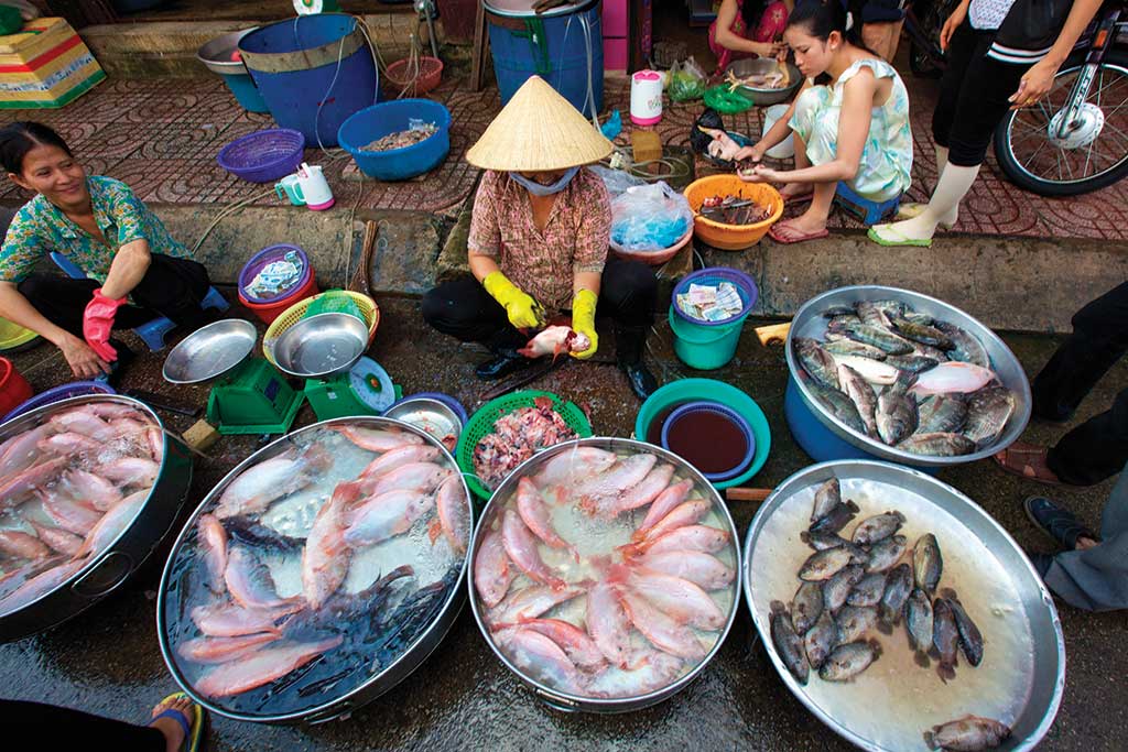 Fish Vendor