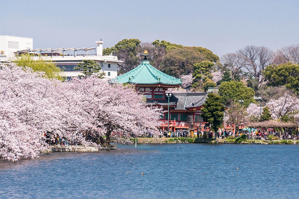 Ueno Park Tokyo Japan