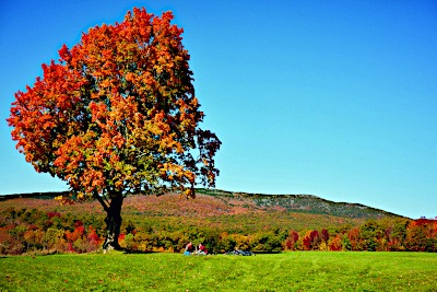 Monadnock