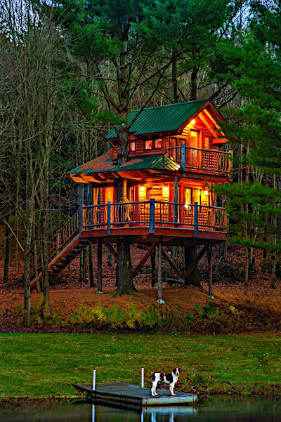Moose Meadow Lodge Treehouse - LGBTQ Owned Business