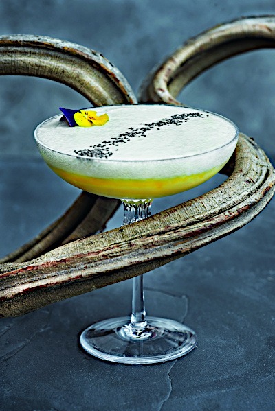 Ella Canta Coa de Jima Cocktail - InterContinental London Park Lane - London Hotel