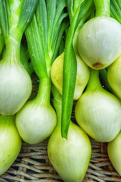 Walla Walla Onions in Walla Walla, Washington