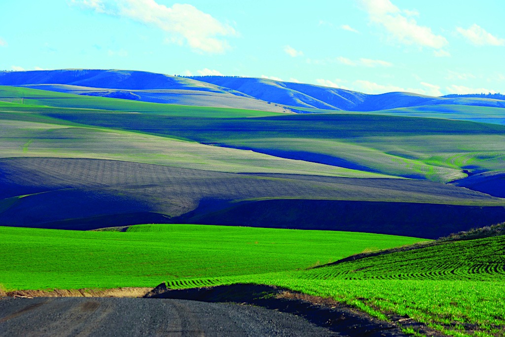 Walla Walla, Washington Landscape