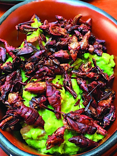 Grasshopper Lunch in San Miguel