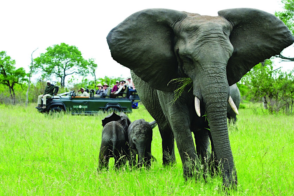 On Safari in Africa