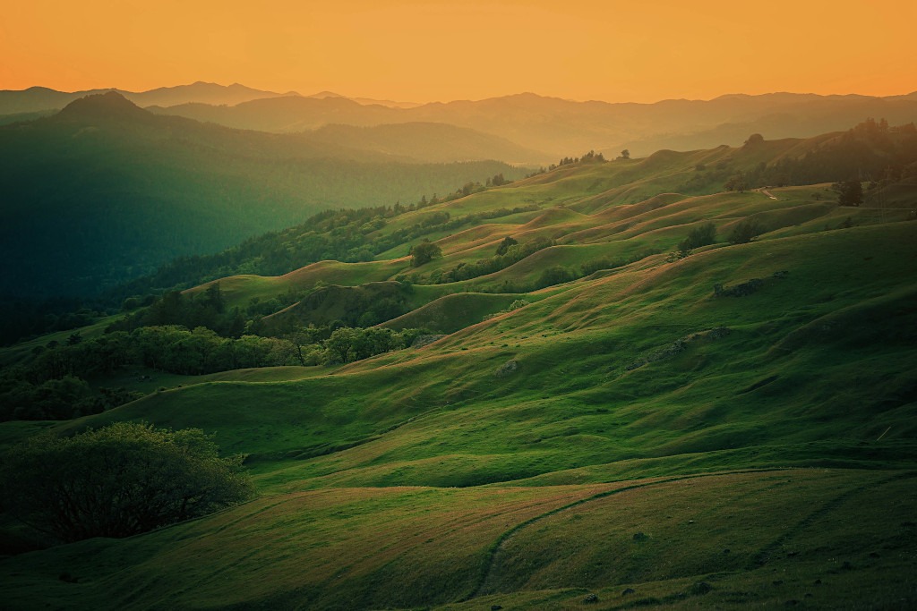 Humboldt County Vista