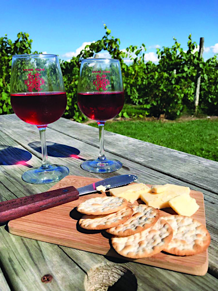 Wine Tasting at Snow Farm in The Champlain Islands, Vermont