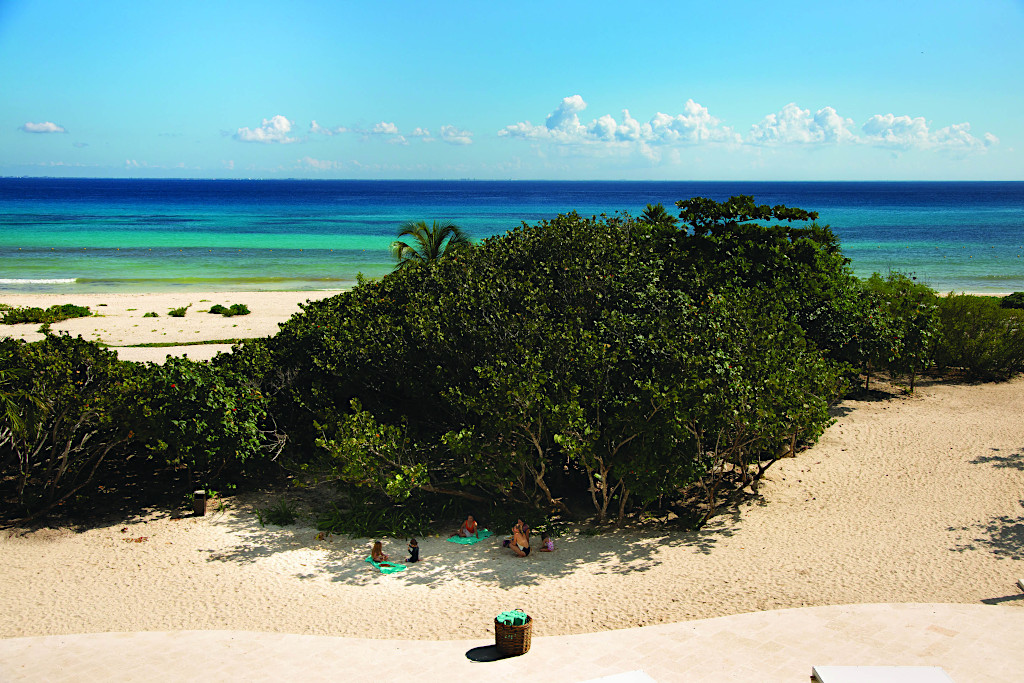 Palmaia - The House of Aia Playa Del Carmen, Meditation Destinations