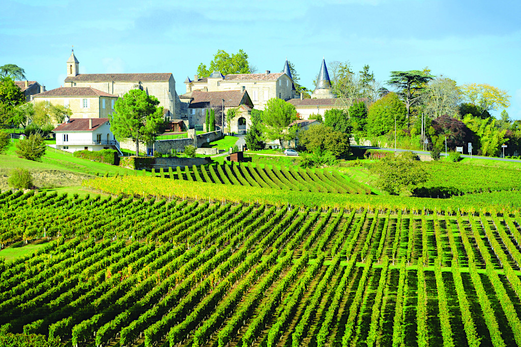 Vineyards of Saint Emilion in Bordeaux, France