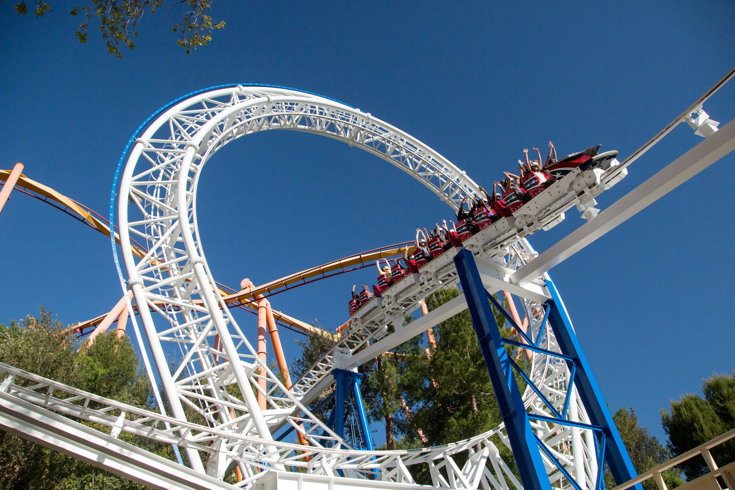 Revolution roller coaster