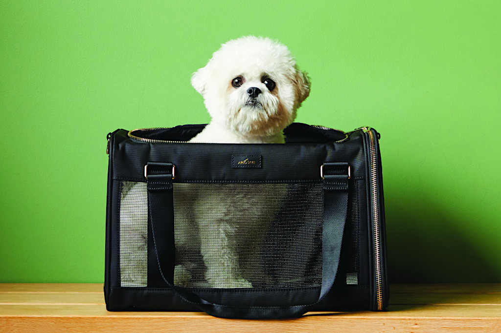 ArloSkye01_049 ArloSkye Pet Carrier