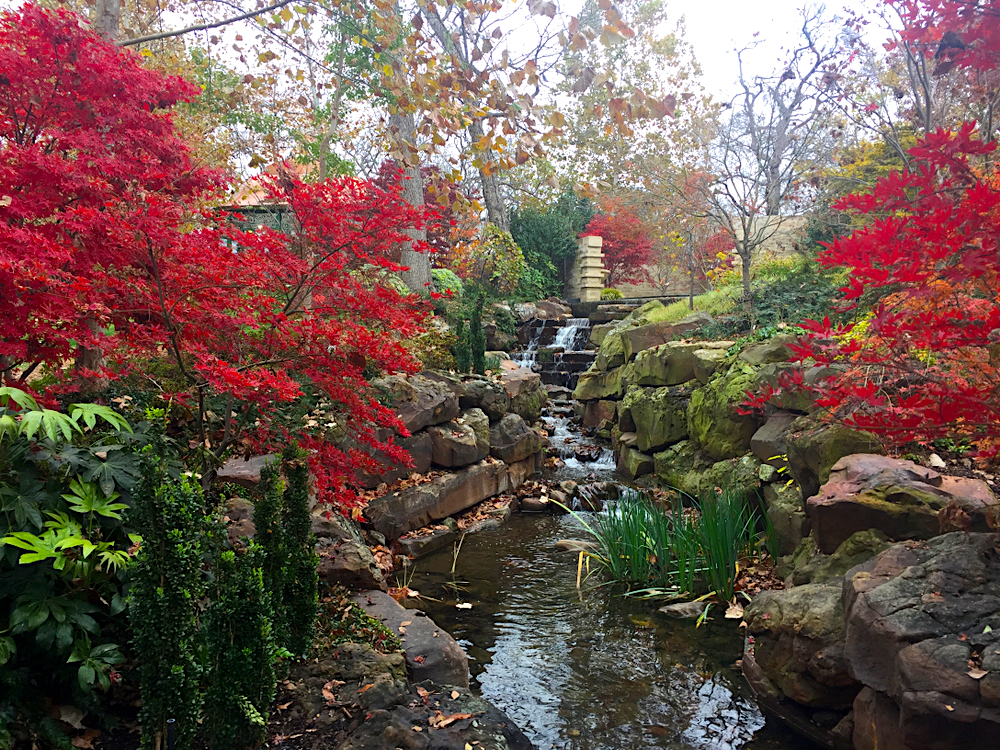Dallas Botanical Garden