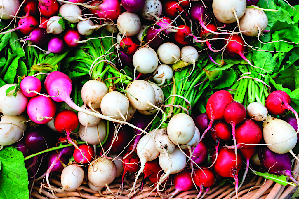 Farmers Market in Santa Monica: Best Farmers Markets