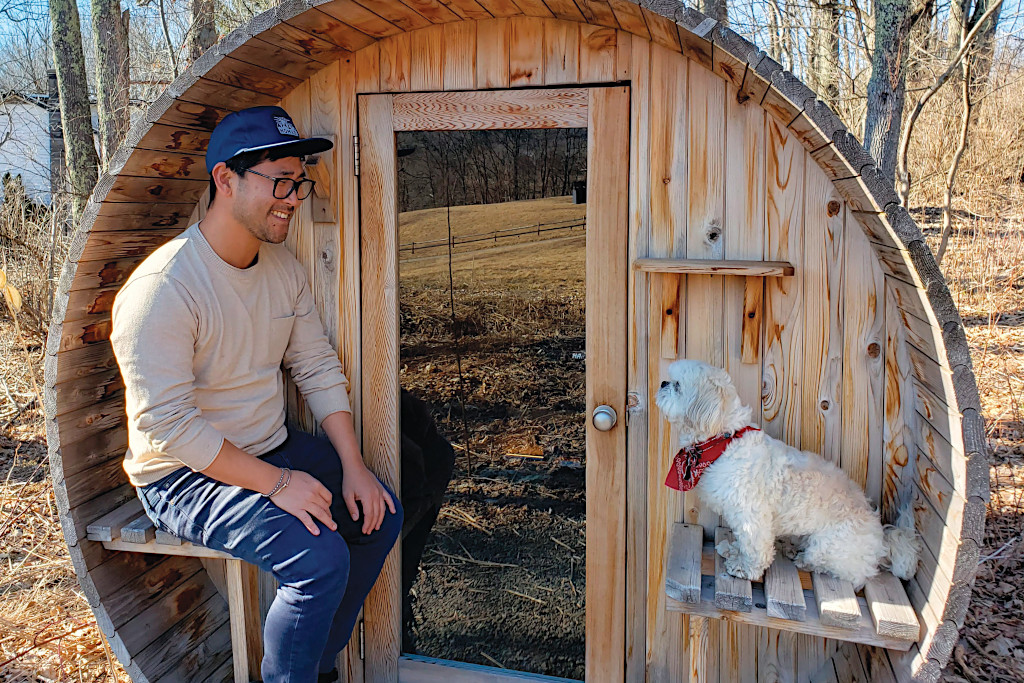 Traveling With Dogs