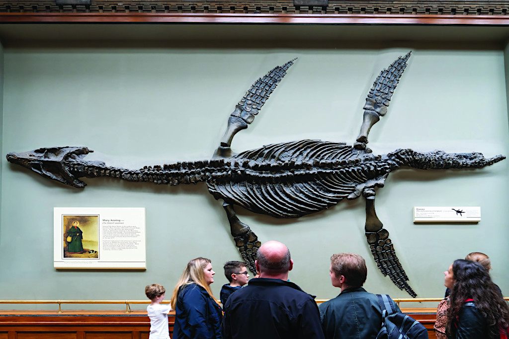 Dinosaur Found by Mary Anning | Famous TV Locations in Britain