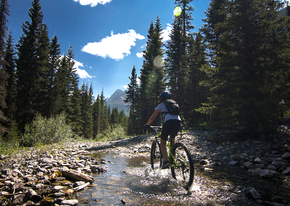 mountain biking