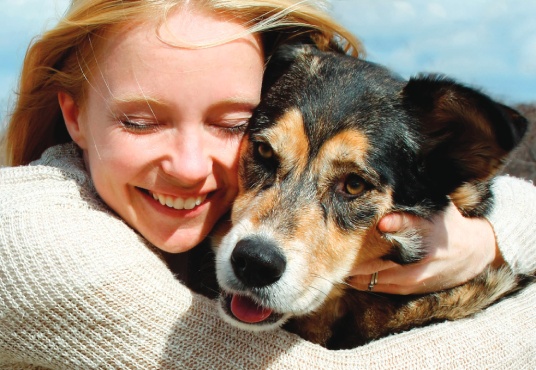 A Dog Finds Their Forever Home By Christin Lola