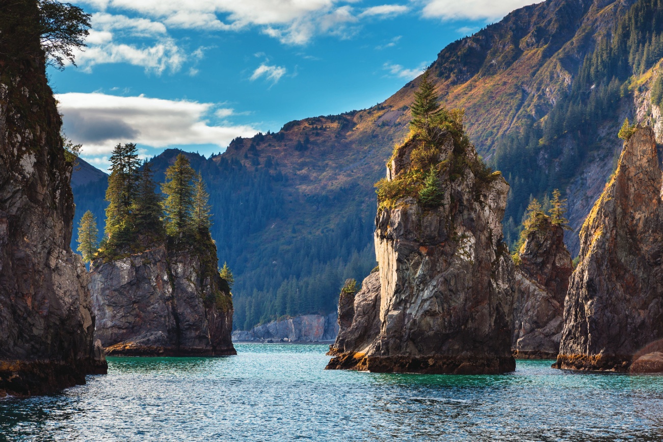 Spire Cove Kenai Fjords National Park By Tomasz Wozniak