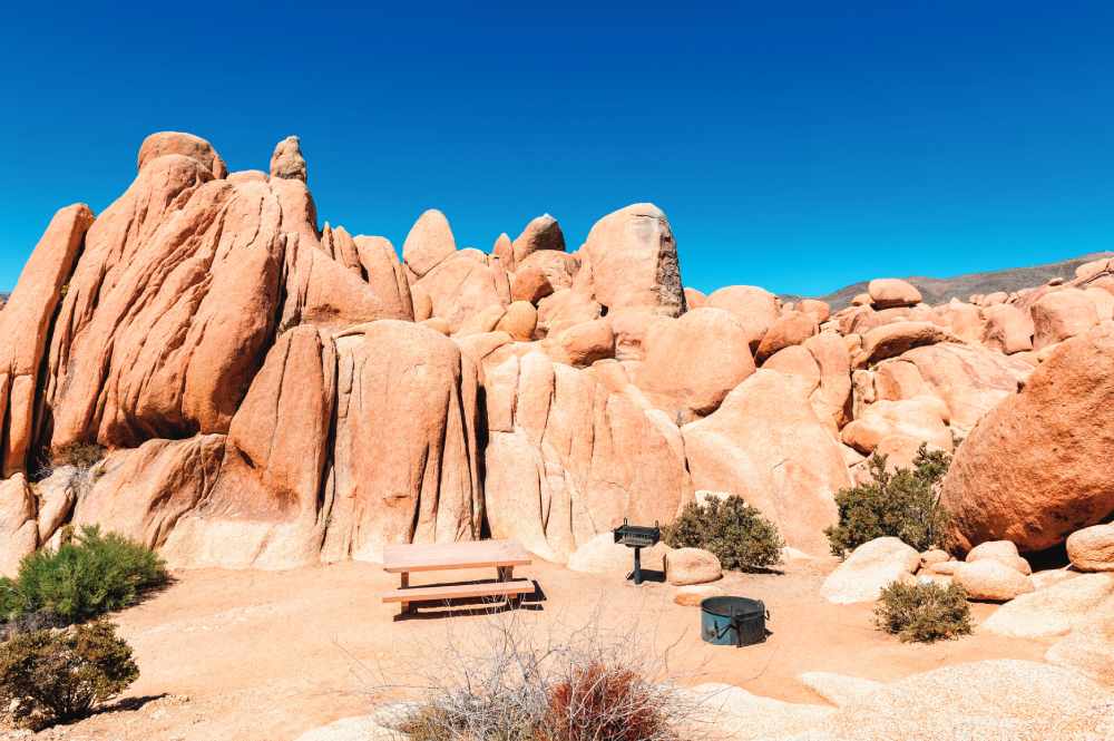 Joshua Tree National Park Campground (Photo by Allard One)