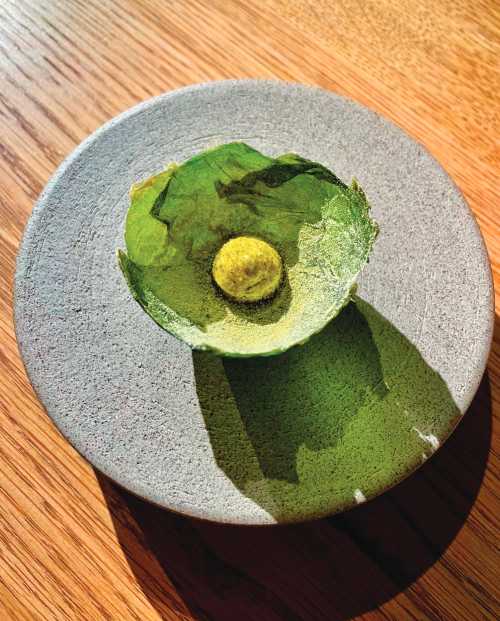 Candied Lettuce at Coda (Photo by Jim Gladstone)