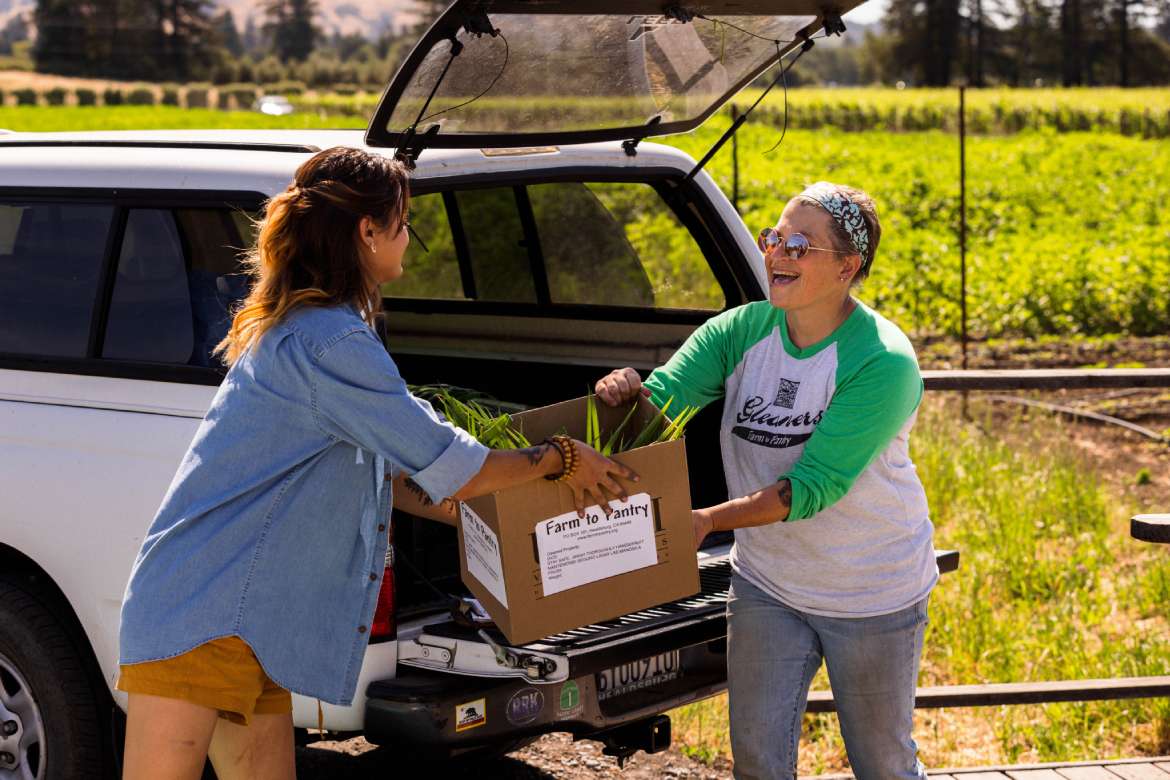 Packing up the morning’s harvest with Farm to Pantry.