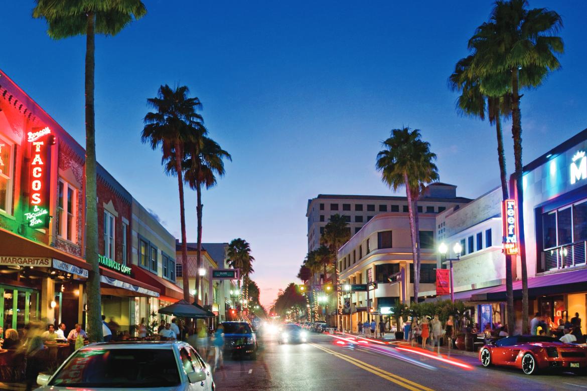 Clematis at Night Photo By Discover The Palm Beaches