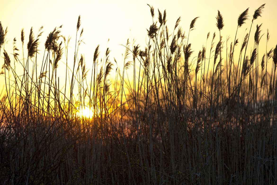 Sunrise at Captree State Park