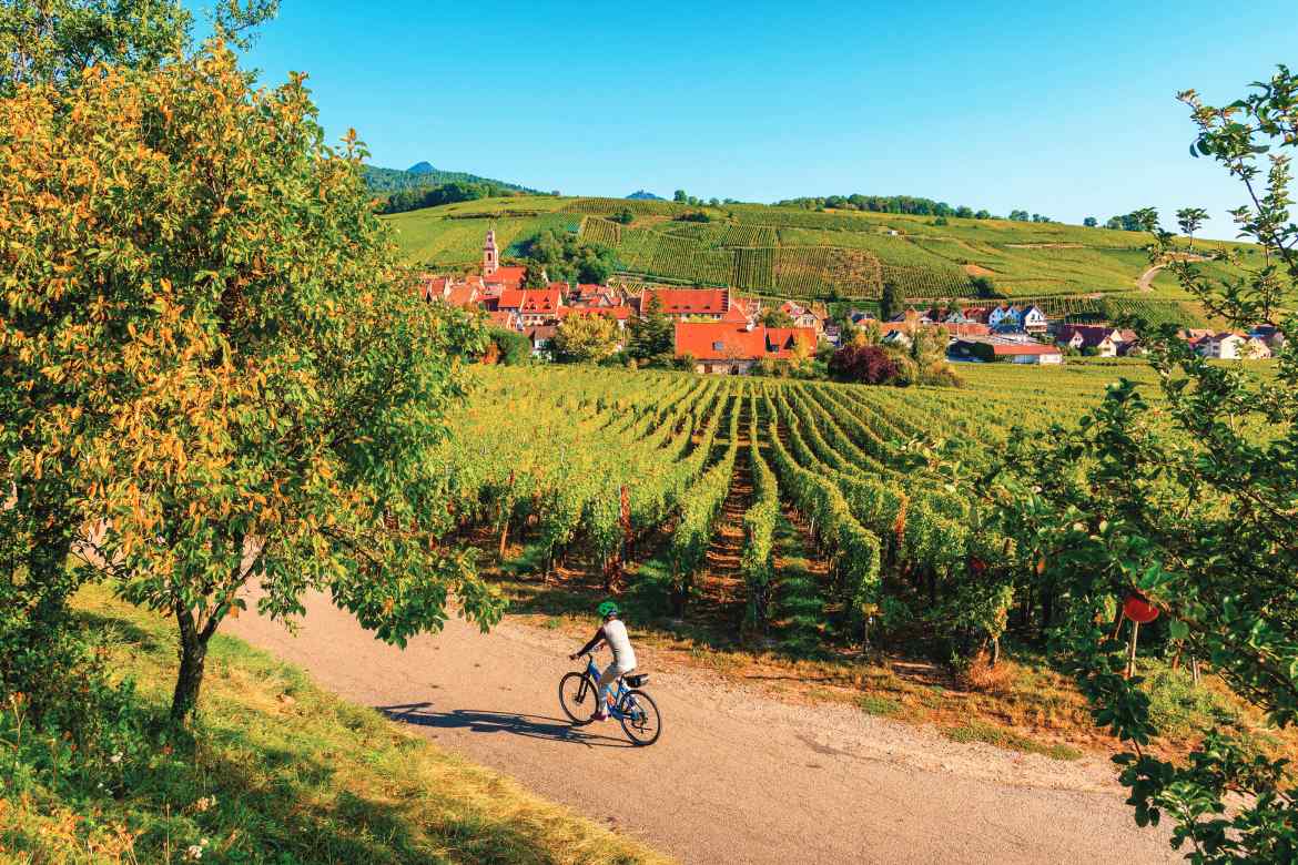 Cycling the Alsace Wine Route (Photo by Pawel Kazmierczak)
