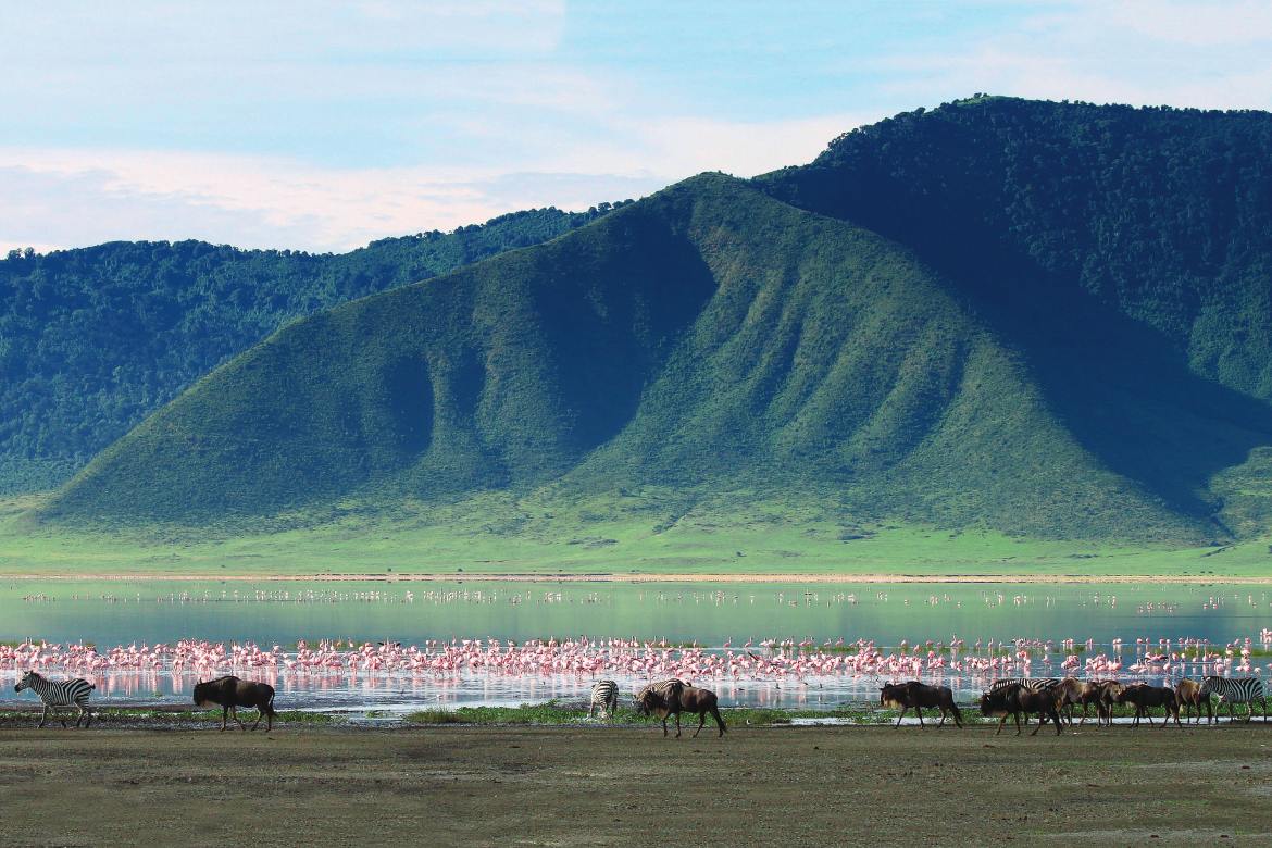 Ngorongoro Crater, Tanzania (Photo by Travel Stock)