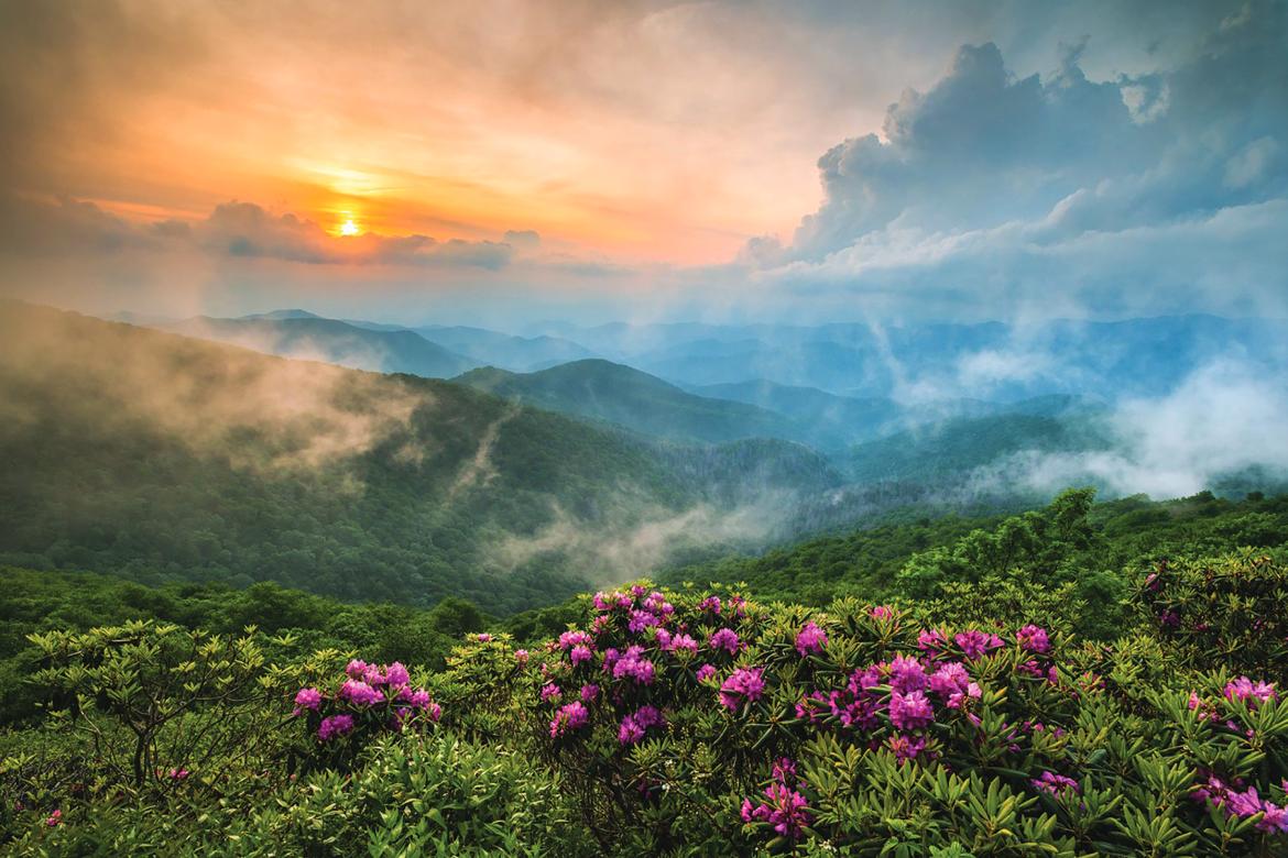 Reach Your Peak in Asheville