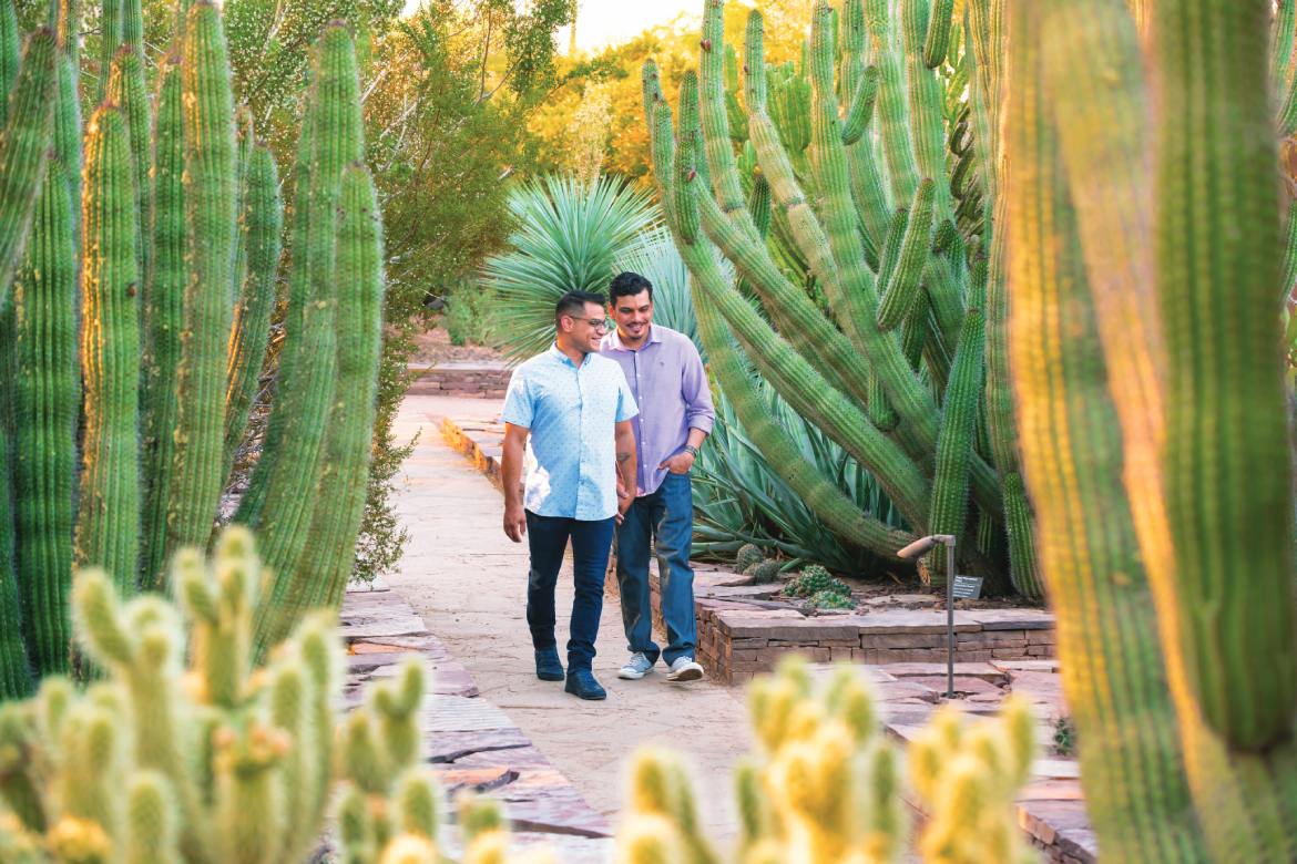 Desert Botanical Garden (Photo by Visit Phoenix)