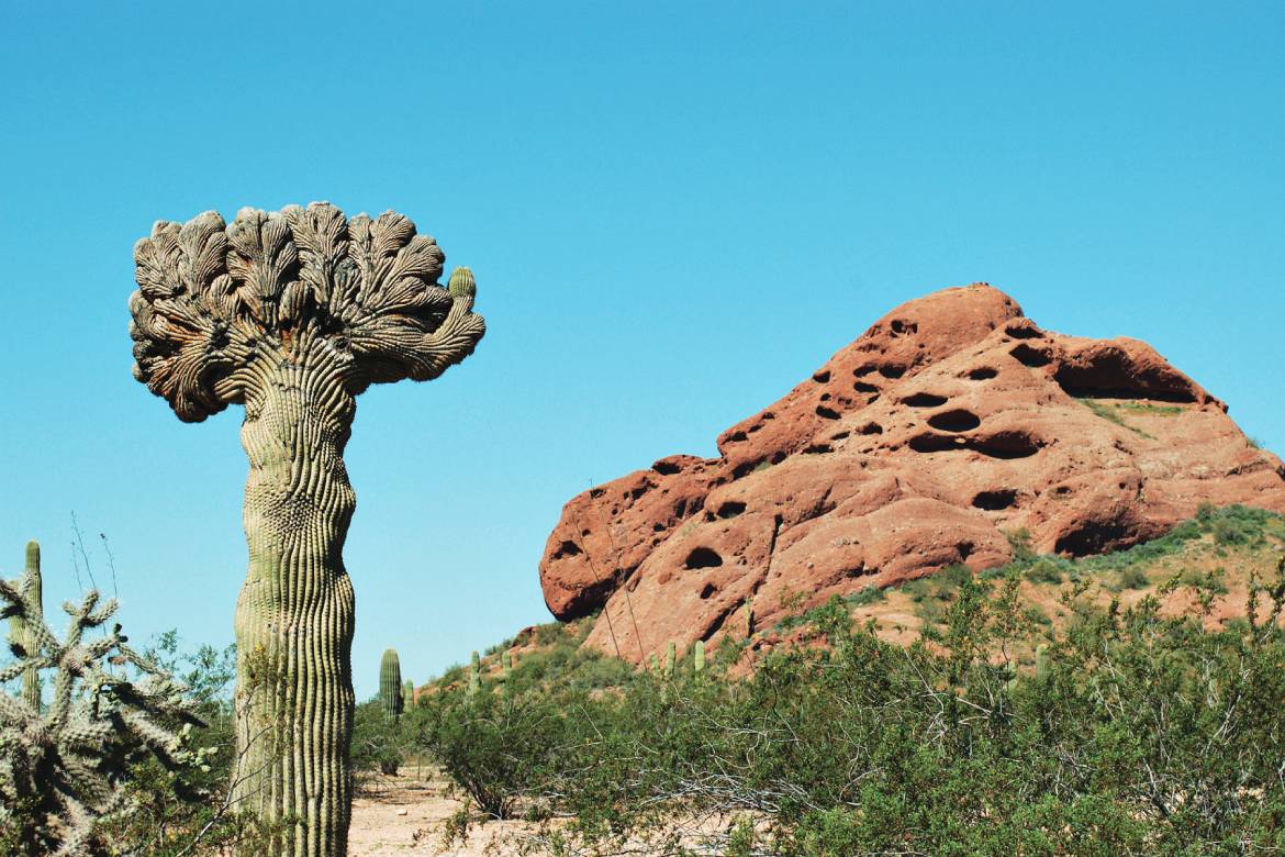 Papago Park (Photo by Visit Phoenix)